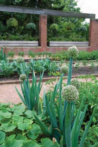 Beautiful Enough to Eat: Edible Landscaping
